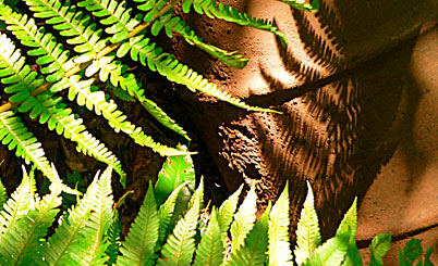 云呼网页版免费试用